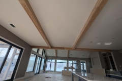 3918931811135294020-min